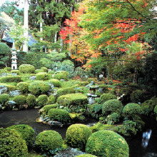 云南園林綠化工程全攻略 從價格解析到廠家批發一站式指南